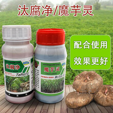 汰腐净魔芋灵魔芋魔芋软腐病根腐病防病增产杀菌消毒药 魔芋灵1瓶