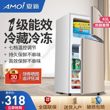 夏新冰箱小冰箱 双门迷你小型电冰箱 家用租房冷藏冷冻节能电冰箱 【43升-一级能效-闪亮金】