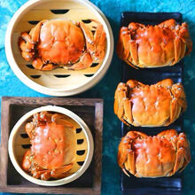 大闸蟹鲜活现货六月黄特大公母蟹活体3.5-1.3两螃蟹河蟹 2.3-2.8两 6只(六月黄)