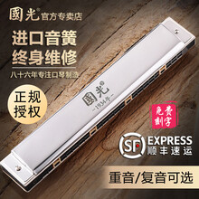 国光28孔德国进口音簧重音口琴高级成人专业演奏级复音初学者学生 28孔银色复音C调+学习资料