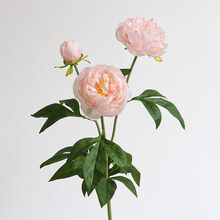 仿真牡丹假花绢花客厅装饰摆件花艺餐桌摆设插花室内摆放花束芍药 1枝浅肉