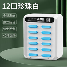 八借扫码充电宝共享设备酒店商用租借自助机出租移动电源免押金租用智能收费网吧KTV咖啡馆餐饮商场甜品店 12口+12宝（白色）