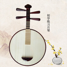 红木月琴民乐 京剧西皮 二黄通用月琴鸡翅木演奏月琴乐器 初学月琴带包拨片