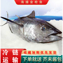 金枪鱼新鲜速冻整条可刺身生鱼片料理食材金枪鱼块生鲜  纯曼郎帝 35-40斤