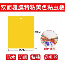 溪沫 双面加厚特粘诱虫蓝板粘虫板黄板果园茶园大棚家用等灭多种小飞虫 100张双面覆膜加厚特粘黄色15x20