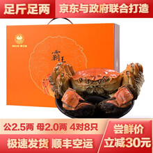 【活蟹 去绳净重】宿有千香大闸蟹 洪泽湖大闸蟹生鲜现货 鲜活螃蟹礼盒 生鲜骆马湖河蟹实物6月黄促销 公2.5两 母2两 4对8只