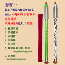 杉贝 SHANBEI 傣艺竖吹巴乌小学生初学入门抖音同款 套餐一:G/F调仿玉 青花下单前联系客服