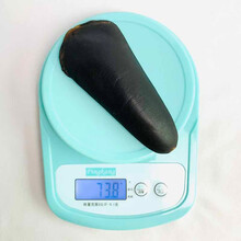 【鲜寻家】鹿尾巴 马鹿尾巴干30-70克可选 鹿尾巴精 整只壮鹿尾吉林双阳 壮鹿尾73.8克/只