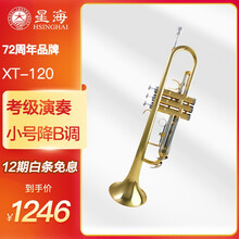 星海小号 降B调铜管乐器 初学入门考级演奏 西洋管乐器 XT-120
