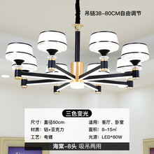 客厅吊灯现代简约轻奢北欧卧室餐厅灯2021年新款灯臂发光铝质灯具 海棠8头三色变光