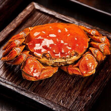 【活蟹】全母大闸蟹鲜活螃蟹活物特大现捕六月黄海鲜水产蟹类 安德兰 全母蟹1.9-2.4两12只