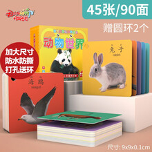 丹妮奇特 动物世界有图识字卡片男孩女孩儿童早教益智玩具宝宝认字卡早教卡看图识字3-6岁儿童生日礼物
