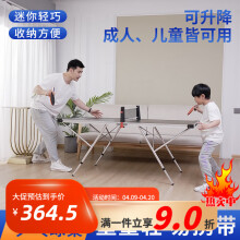 八府安（BAANFU）乒乓球桌 标准乒乓球台室内室外家用可折叠移动式兵浜球台案子 160*80CM(球桌+网架)