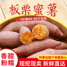 新鲜红薯沙地红蜜薯板栗薯地瓜新鲜蔬菜糖心手指红薯农家香甜山芋 沙地黄心红蜜薯3斤