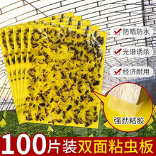【强力】多规格黄板双面粘虫板诱虫板多尺寸沾虫纸贴蓝色沾室内花草小飞虫蓟马灭果蝇粘板菜地果园田地大棚 25*20cm（ 100张）