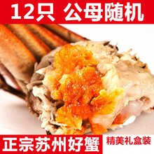 活鲜【冷链运输】大闸蟹鲜活 螃蟹特大公母 现货海鲜镇8 /16只礼盒装 欧登城娜 【公母2.5-2.0两】12只