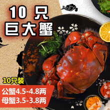 【活蟹】阳澄凯馨大闸蟹 现货鲜活特大螃蟹 活蟹公蟹可全母蟹活体 海鲜水产生鲜礼盒 公蟹4.5-4.8两母蟹3.5-3.8两 5对十只