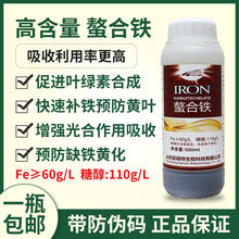 螯合铁 铁肥液体叶面肥  果树快速补铁 预防黄叶植物黄化 高含量螯合铁500克