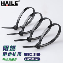 海乐（Haile）扎带 尼龙扎带 多功能扎线带束线带 自锁式阻燃扎带 4.6*300mm 黑色100根ZD-30H-100