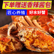 大闸蟹 鲜活特大公母蟹螃蟹六月黄现货礼盒装海鲜水产 罗菲迪新 【六月黄10只装】0.8-1.1两