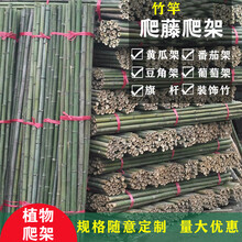 瓜棚种菜植物攀爬架小竹竿园林架葡萄黄瓜番茄西红柿豆角架杆瓜架子竿爬藤花架支架1.5米2米高 2厘米粗1.5米长50根