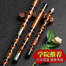 演奏笛子精制竹笛儿童初学零基础乐器CDE横笛专业大AGF降B调 C调(全套配件)