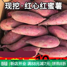 新鲜红心红薯蜜薯板栗薯沙地小红薯农家自种生的糖心番薯地瓜 5斤 中果