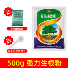 柏斯特快速生根粉植物通用树木扦插发根快生根壮苗剂生根剂生根液 500g强力生根粉 量勺 硫酸亚铁