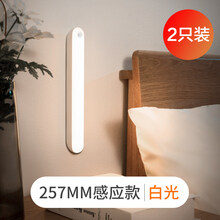 洗衣液旅行装 50g人体感应小夜灯家用过道楼梯声控智能楼道光控长条床头灯衣柜充电 257mm充电款白光【人体感应】2只装