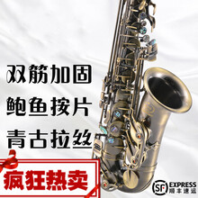 初学降e调中音萨克斯风/管乐器成人入门考级森德萨克斯 伊薇210G双键筋加固升级鲍鱼按片仿古拉丝＋17件