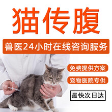猫传腹口服书目_猫传腹口服作品- 京东图书