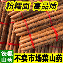 山药铁棍铁杆淮山药正宗垆土怀山药铁棒小白嘴麻山药新鲜蔬菜批发 特级山药五斤 【严选粗长款】