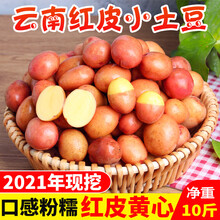 大地果缘【产地直发】 云南红皮黄心农家自种小土豆10斤高山马铃薯新鲜蔬菜洋芋批发 2500g