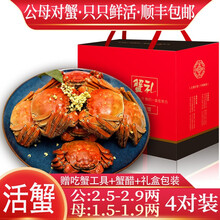 【活蟹】【公母对蟹】阳澄西湖大闸蟹鲜活现货生鲜螃蟹类海鲜水产礼盒装 公：2.5两+母：1.5两（4对）
