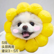 宠物猫咪帽子头套泰迪博美法斗小狗抖音搞笑造型帽子狗用品 太阳花S码 猫狗通用