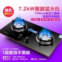 好太太煤气灶双灶家用嵌入式天然气灶台式燃气灶液化气灶猛火炉具 7.2KW双猛火+熄保+提锅小火 液化气