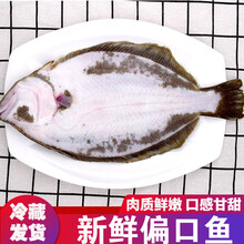 新鲜偏口鱼 鲽鱼 带头新鲜深海鲽鱼 海鲜水产   智维理克 两条 每条400-600g【鲜活急冻】