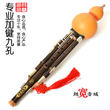 加建葫芦丝演奏型紫竹宽音域九孔CF调紫竹葫芦丝乐器 紫竹加键F 调+盒+挂饰+资料