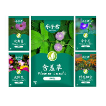 乐子君 种子 花卉种子30款花草种子混装花种子满天星波斯菊太阳花阳台室内碗莲花草盆栽观花卉植物种籽 5包:野含波牵太