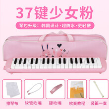 乐立方   抖音同款 口风琴37键32键小学生用初学者课堂口风琴幼儿童演奏吹管乐器 【中级】【卡通皮包粉37建】教材+吹管+竖笛