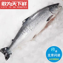 整条冰鲜三文鱼 13斤1条 可分割 挪威进口 新鲜刺身 绝冻鲜