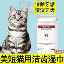 虎斑美短猫洁牙湿巾清洁牙齿除口臭护龈去口臭嘴巴去除牙结石抗菌 一包30枚