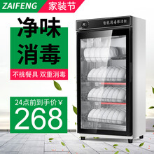 在丰消毒柜家用迷你小型双门消毒碗柜厨房保洁柜碗筷茶杯消毒柜立式 228U-不锈钢(开箱验货)