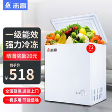 志高（CHIGO）小冰柜家用冷冻小型迷你冷柜冷藏节能省电母乳电冰柜 BD/BC-72A128【省电款 一级能耗】