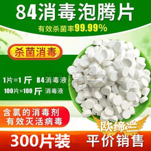 欧缔兰 84消毒液消毒片家用地板宠物酒店高效消毒宾馆衣物漂白除异味 84消毒片(300片)