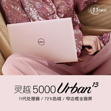 戴尔（DELL）灵越5000轻薄本13.3英寸超极本轻薄学生笔记本电脑 11代i3 8G 256G固态 集显粉色标配 金属机身/72%色域