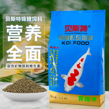 贝斯特鱼食饲料粮观赏鱼锦鲤养殖专用不浑水锦鲤鱼食金鱼观赏鱼鱼粮 贝斯特主食（5斤优惠装）小颗粒