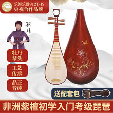 乐海 琵琶乐器非洲紫檀材质初学入门考级演奏花梨木琵琶912T-JS 金色年华琵琶912T-JS