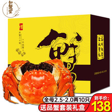 【活蟹】知蟹堂大闸蟹鲜活 螃蟹活物生鲜六月黄河蟹海鲜礼盒装 推荐款：全母（2.5-2.0两）10只