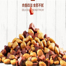 狗粮大包装100斤便宜通用型狗粮大包装100斤全犬种成犬粮拘粮饲料 6个月以上40斤牛肉味